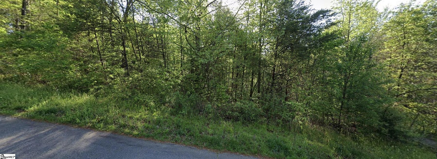 0.8 Acres of Residential Land for Sale in Marietta, South Carolina