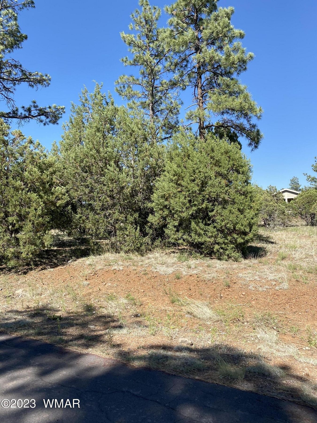 0.25 Acres of Residential Land for Sale in Lakeside, Arizona