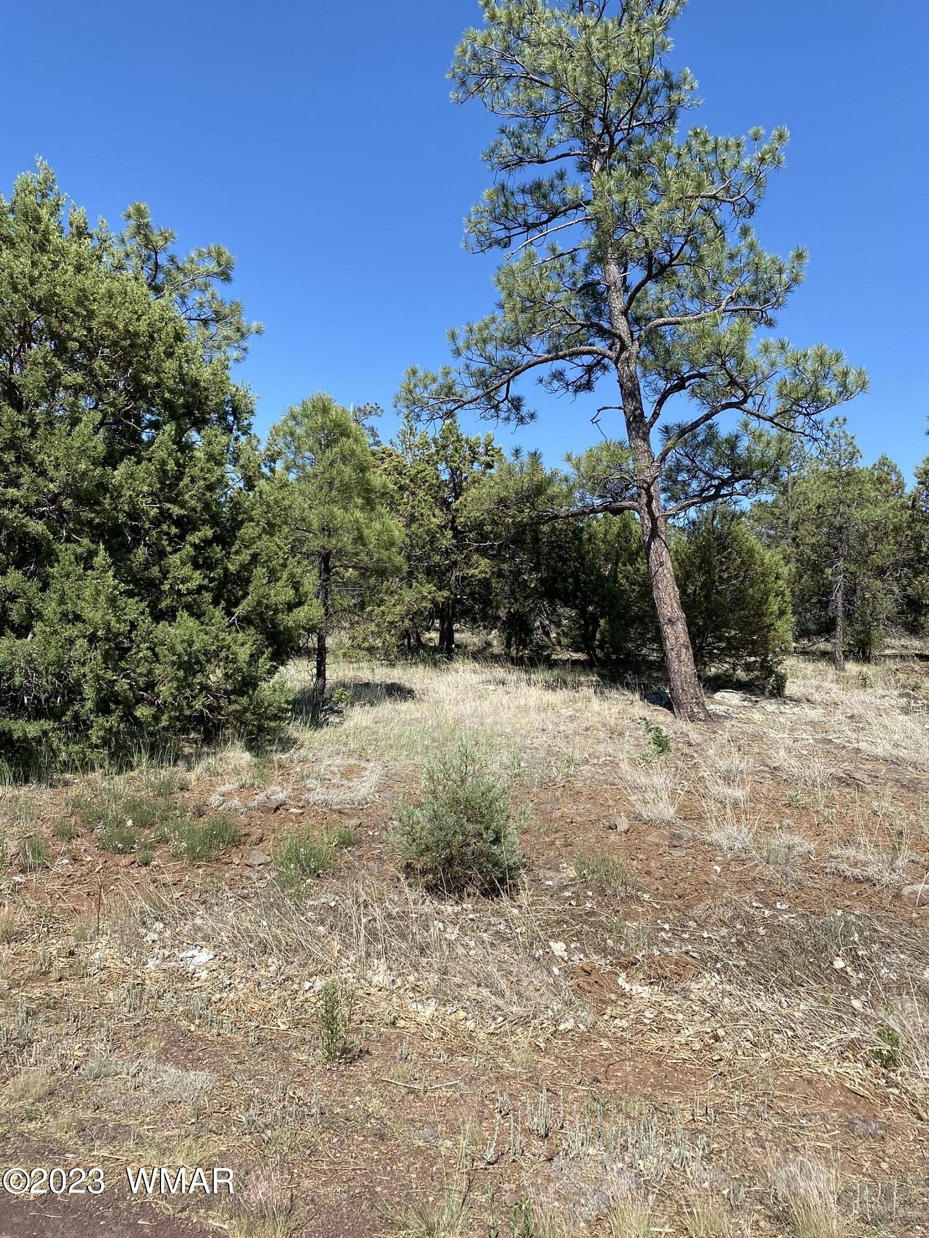 0.29 Acres of Residential Land for Sale in Lakeside, Arizona