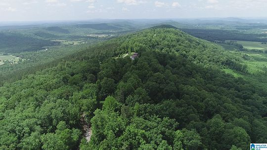 38 Acres of Recreational Land for Sale in Ashville, Alabama