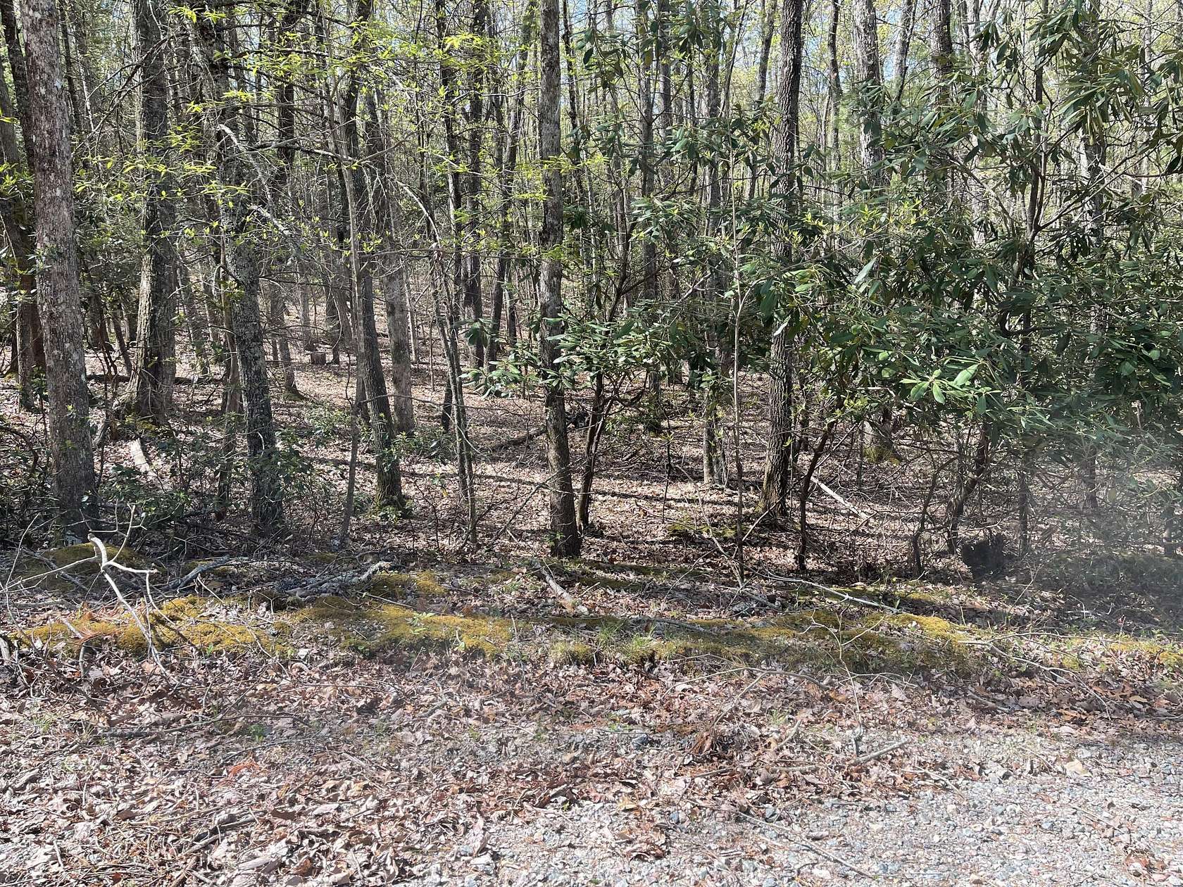 0.53 Acres of Land for Sale in Mountain City, Tennessee