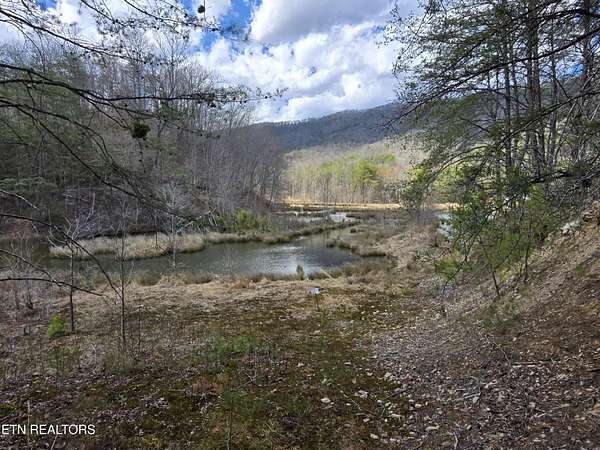 47.6 Acres of Recreational Land for Sale in Bean Station, Tennessee