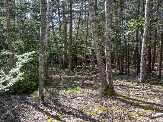 1.6 Acres of Residential Land for Sale in Tremont, Maine