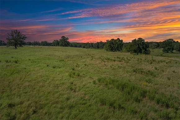 20 Acres of Recreational Land for Sale in Kosse, Texas