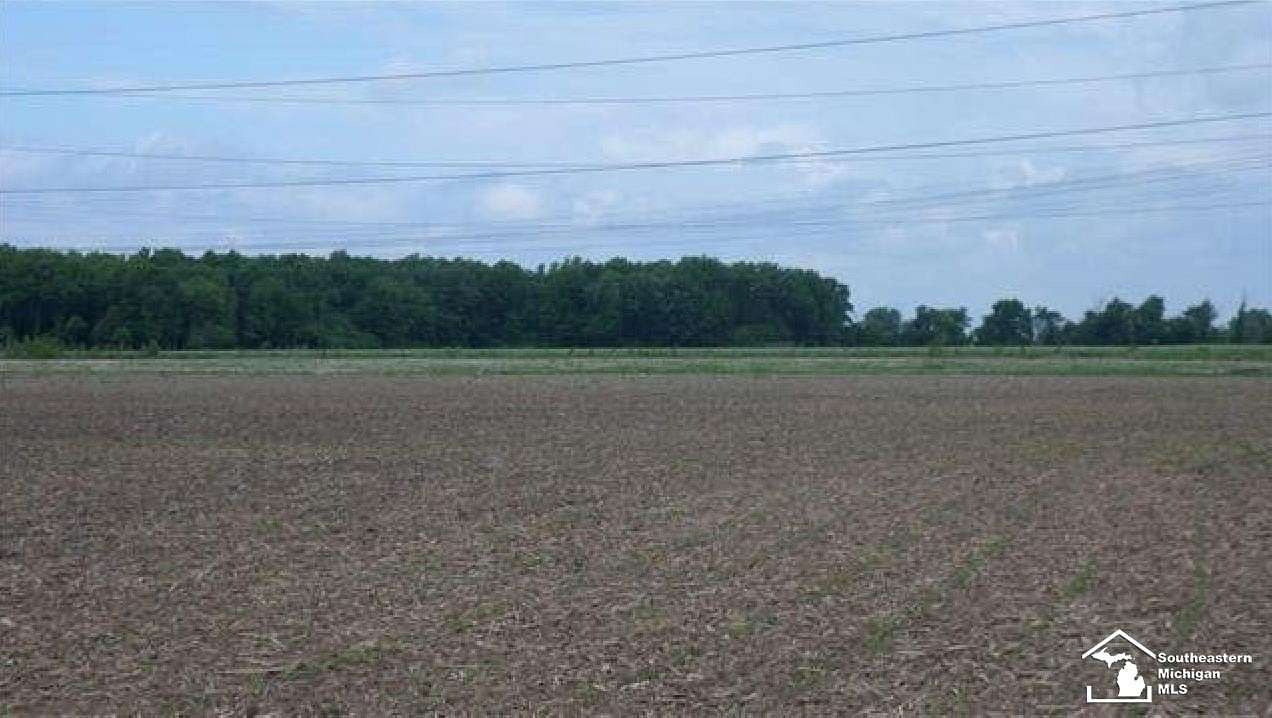 9 Acres of Residential Land for Sale in Newport, Michigan