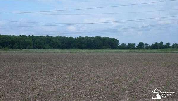 9 Acres of Residential Land for Sale in Newport, Michigan