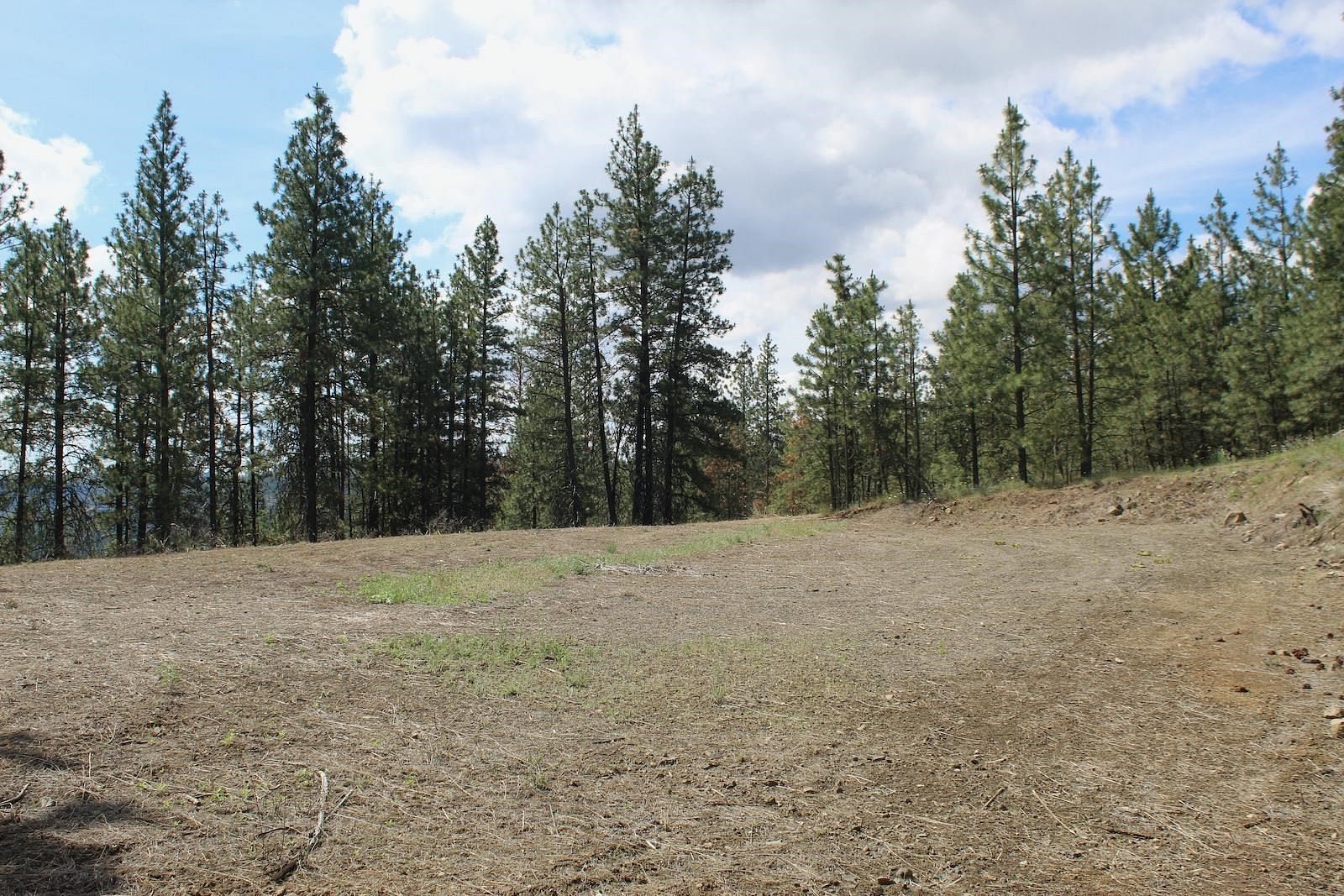 1.3 Acres of Land for Sale in Davenport, Washington