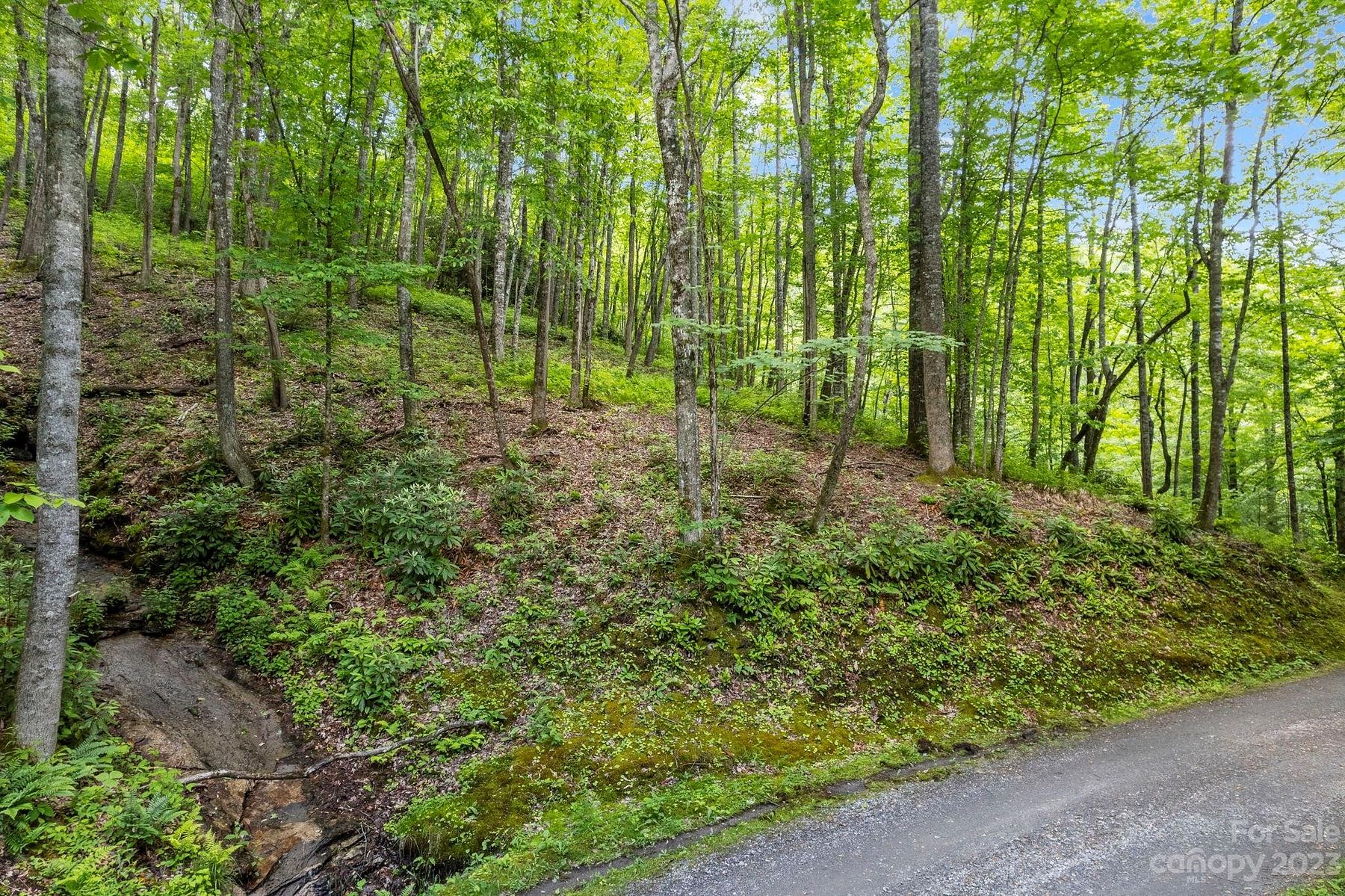 1.6 Acres of Land for Sale in Tuckasegee, North Carolina