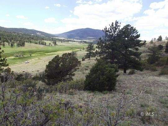 54.1 Acres of Agricultural Land for Sale in Cañon City, Colorado