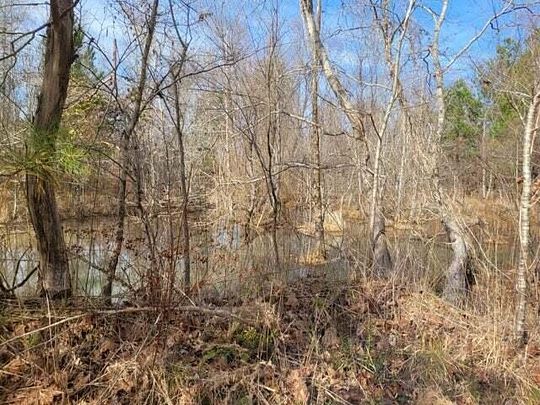 89.5 Acres of Recreational Land for Sale in Lincolnton, Georgia