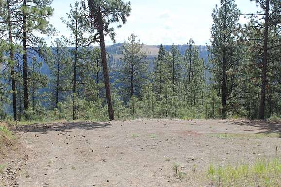 15.93 Acres of Recreational Land for Sale in Davenport, Washington