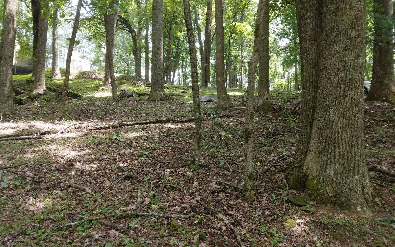 0.51 Acres of Land for Sale in Ellijay, Georgia