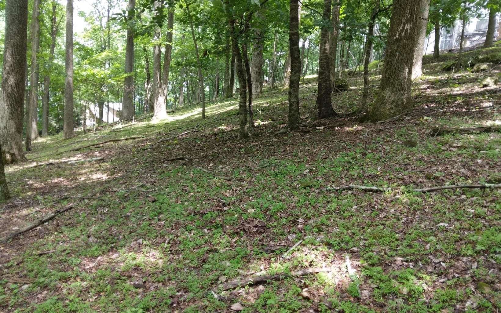 0.51 Acres of Land for Sale in Ellijay, Georgia