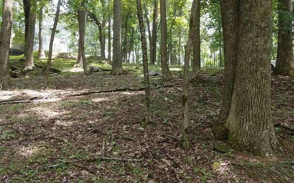 0.51 Acres of Land for Sale in Ellijay, Georgia