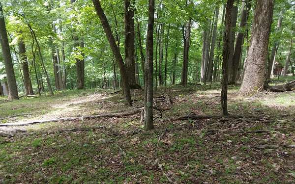 0.51 Acres of Land for Sale in Ellijay, Georgia