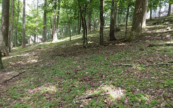 0.51 Acres of Land for Sale in Ellijay, Georgia