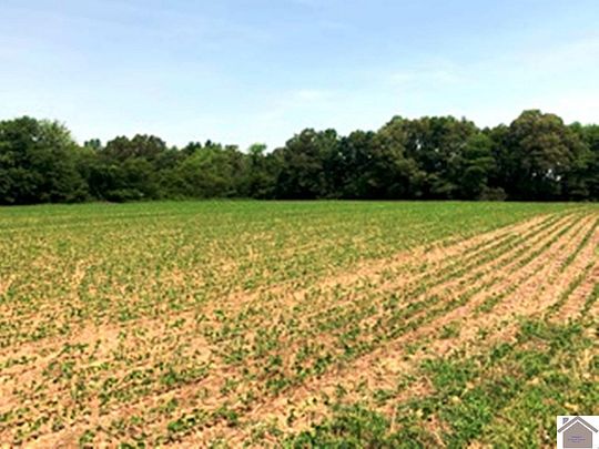 6.9 Acres of Land for Sale in Kevil, Kentucky