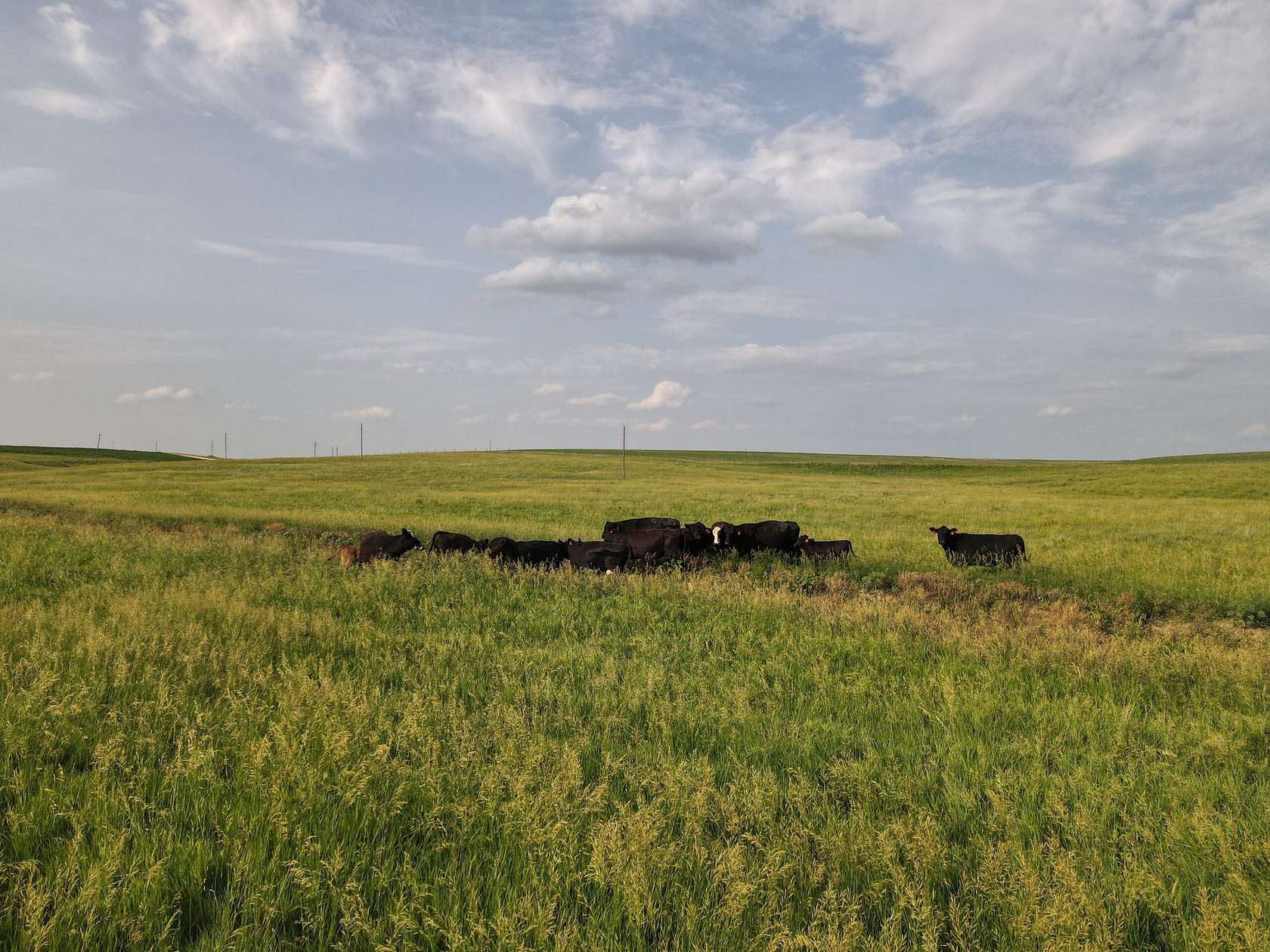 532 Acres of Recreational Land & Farm for Sale in Burr Oak, Kansas