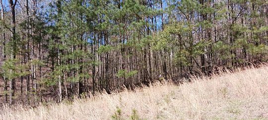 1.5 Acres of Residential Land for Sale in Double Springs, Alabama