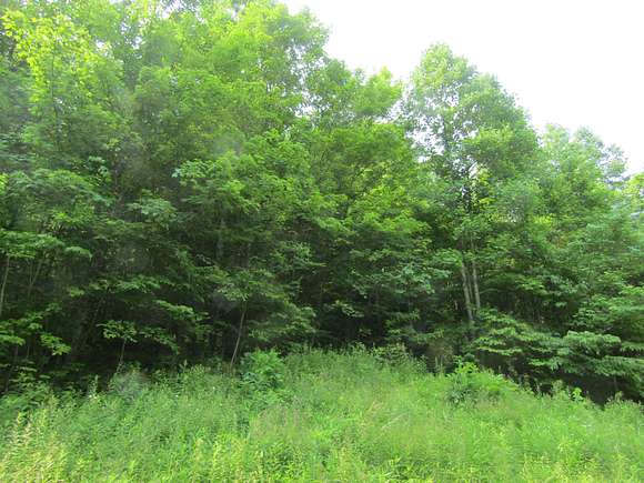 122 Acres of Agricultural Land for Sale in Woollum, Kentucky