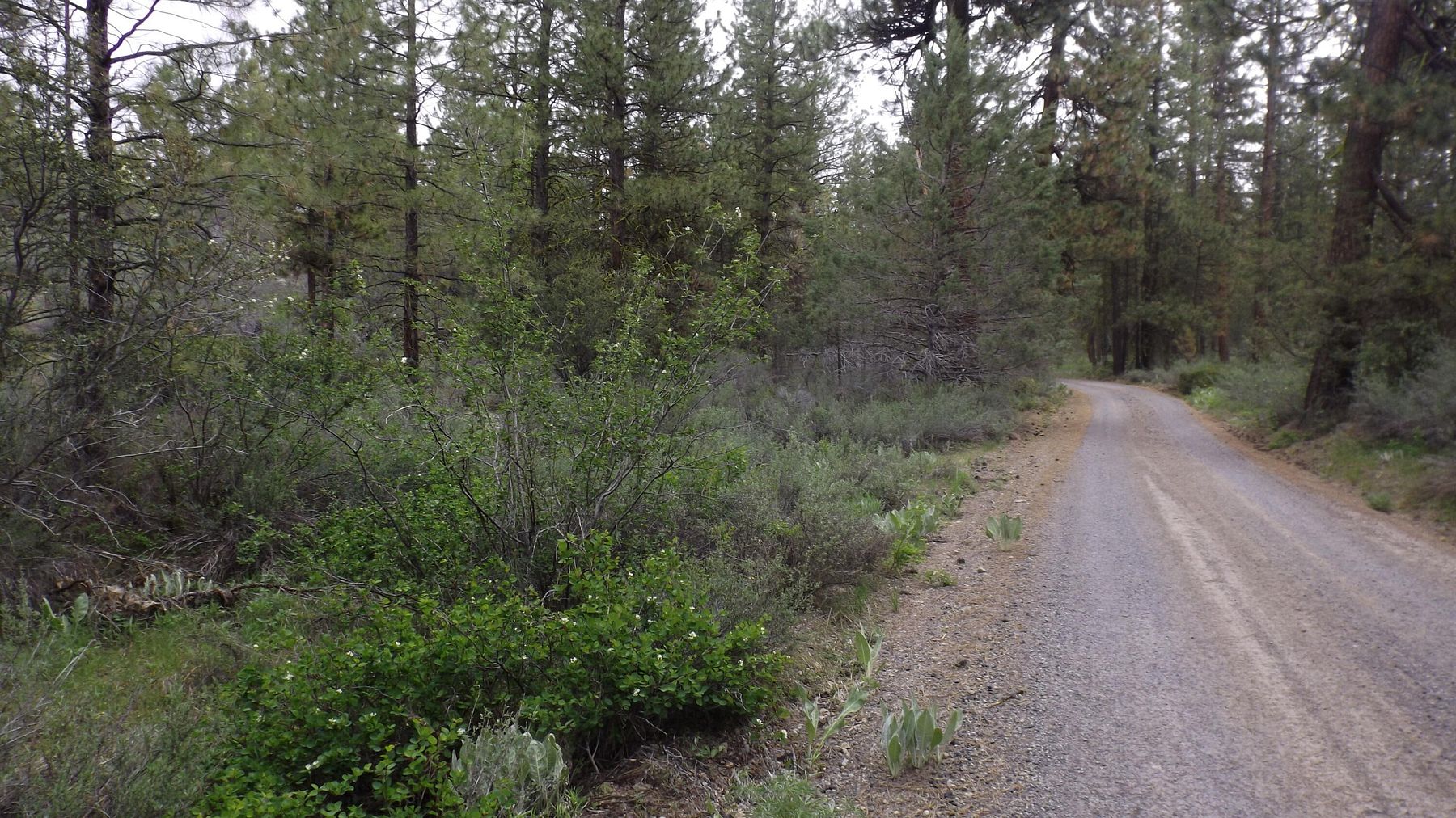 3.7 Acres of Residential Land for Sale in Bonanza, Oregon