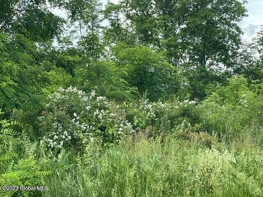 0.33 Acres of Land for Sale in Ravena, New York