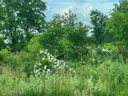0.31 Acres of Land for Sale in Ravena, New York