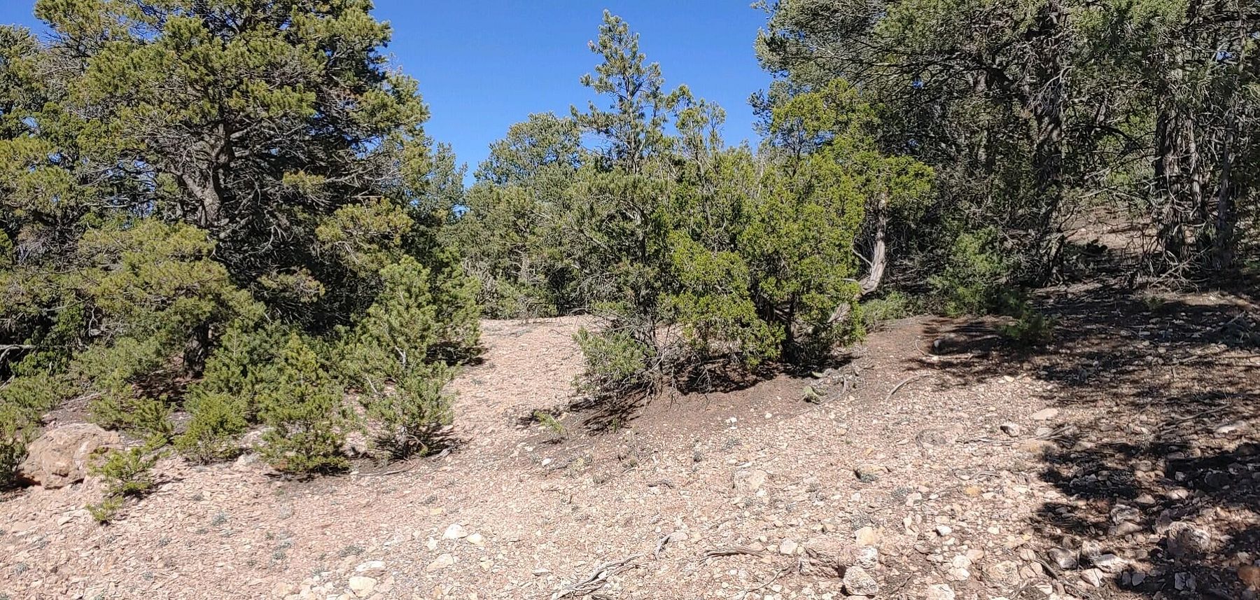 0.29 Acres of Land for Sale in Sandia Park, New Mexico