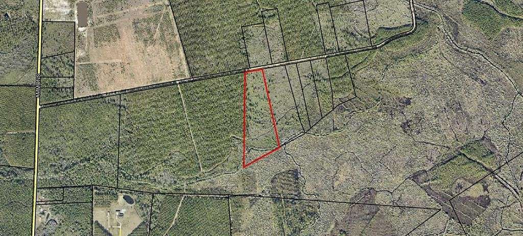12 Acres of Land for Sale in Waycross, Georgia