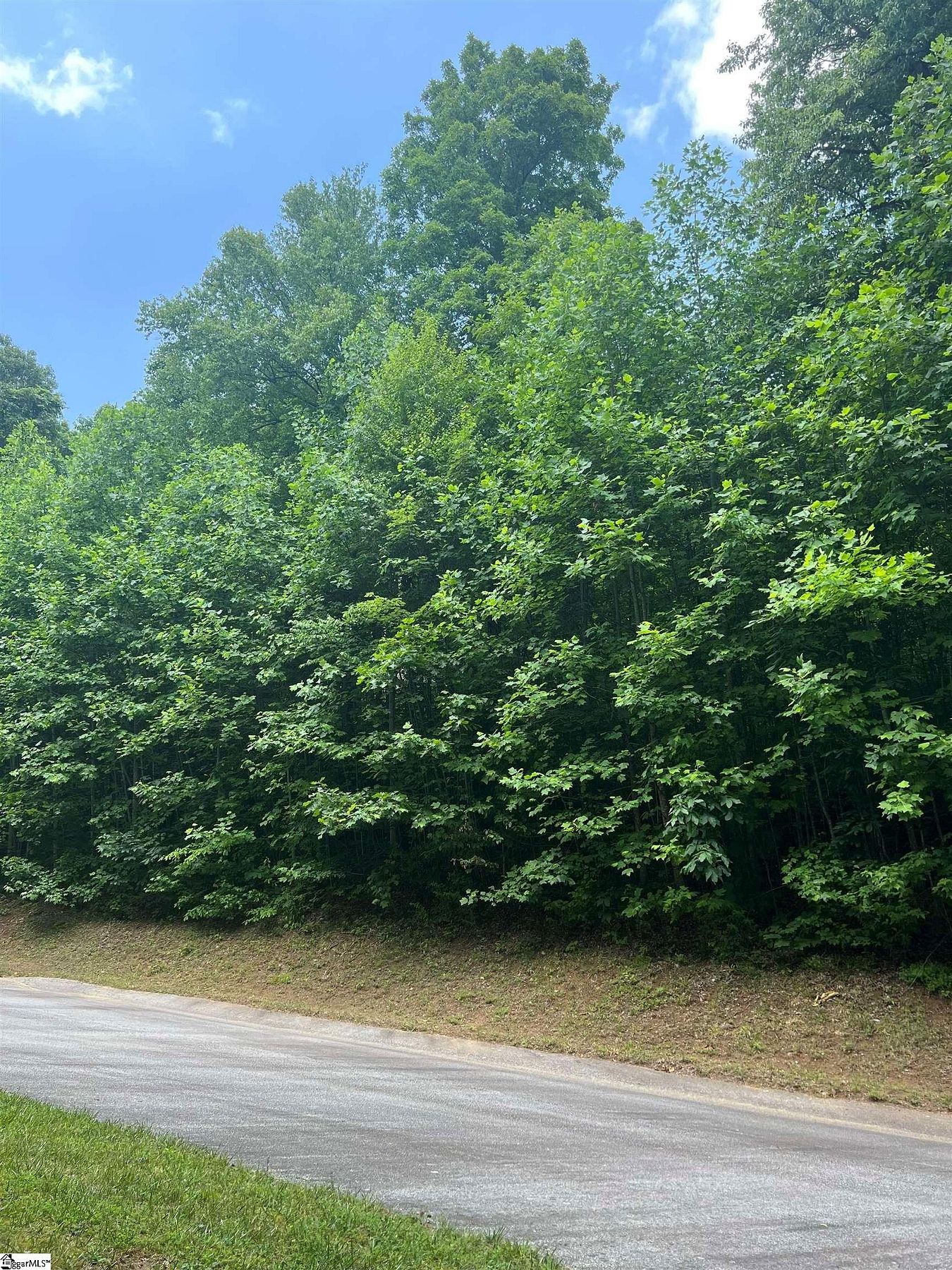 0.76 Acres of Residential Land for Sale in Landrum, South Carolina