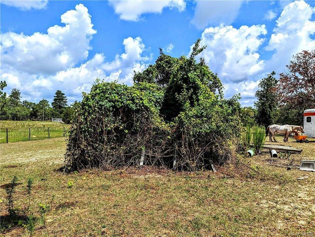 3 Acres of Residential Land for Sale in Dunnellon, Florida
