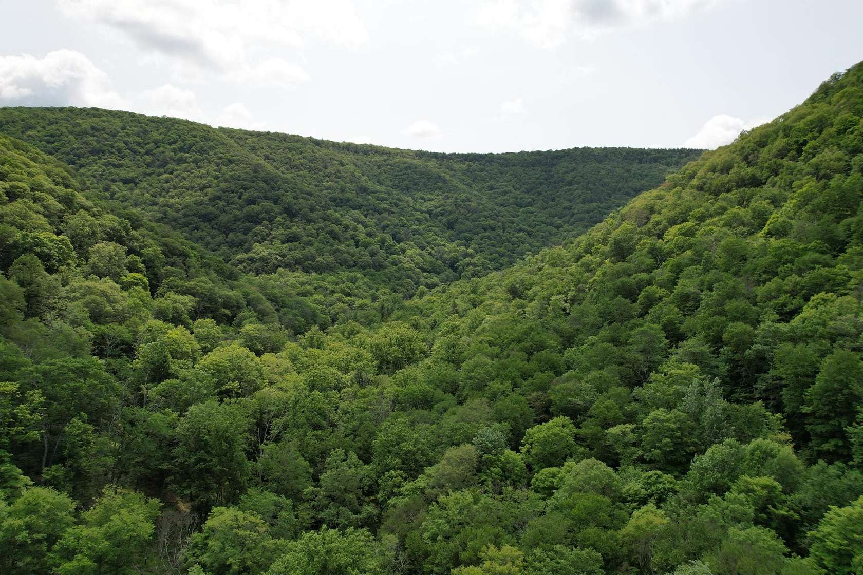 46 Acres of Recreational Land for Sale in Renovo, Pennsylvania