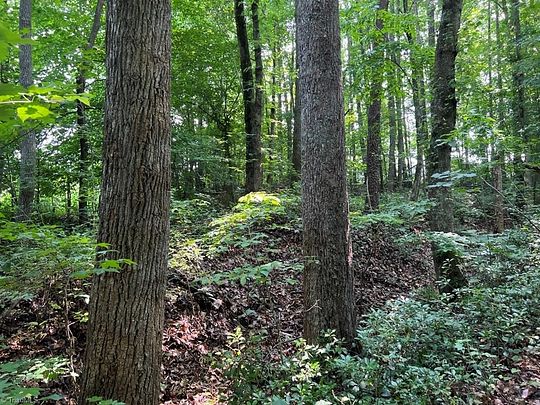 5.3 Acres of Residential Land for Sale in King, North Carolina