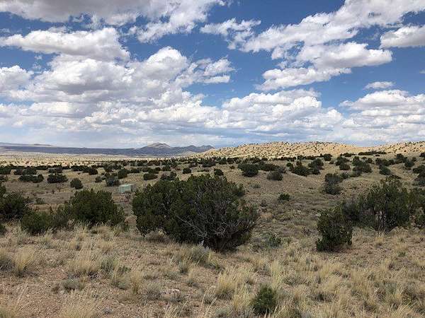 80 Acres of Recreational & Residential Land for Sale in Cerrillos, New Mexico