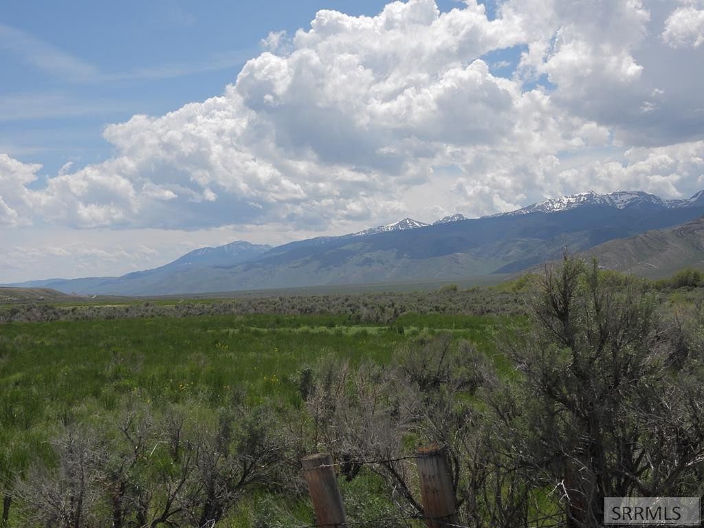 41.1 Acres of Land for Sale in Howe, Idaho