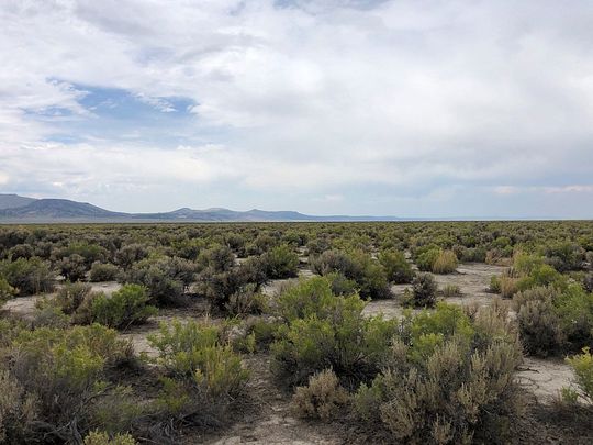 80 Acres of Land for Sale in Gerlach, Nevada