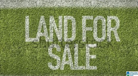 1 Acre of Land for Sale in Birmingham, Alabama