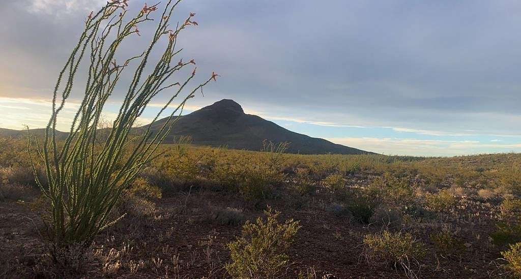 19.8 Acres of Land for Sale in Terlingua, Texas