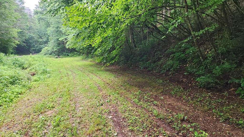 10.7 Acres of Land for Sale in Cosby, Tennessee