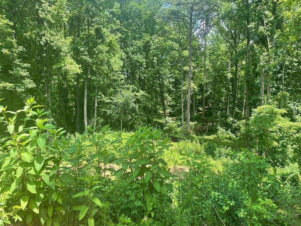 0.48 Acres of Residential Land for Sale in Cumming, Georgia