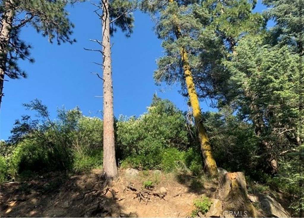0.19 Acres of Residential Land for Sale in Cedarpines Park, California