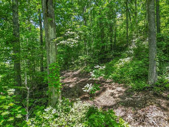 4.69 Acres of Residential Land for Sale in Weaverville, North Carolina