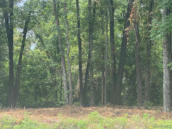 0.58 Acres of Residential Land for Sale in Millbrook, Alabama