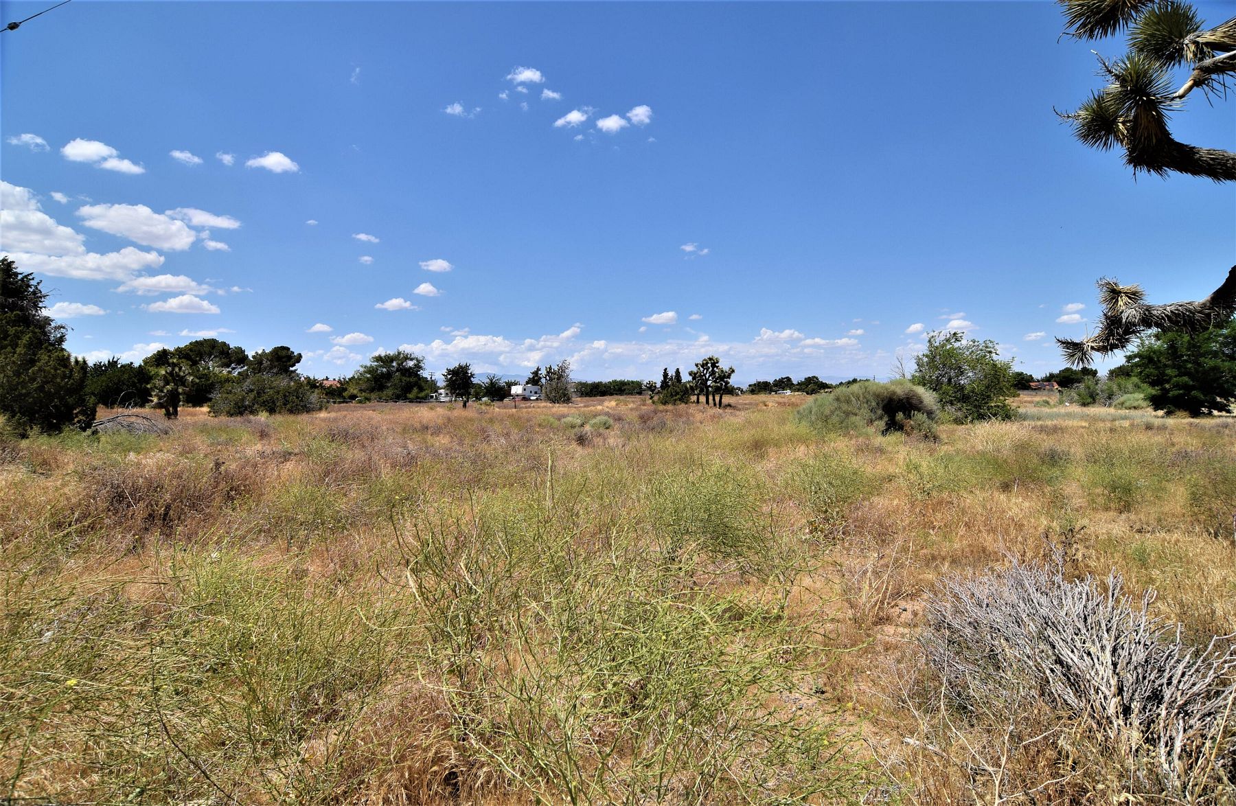 38.9 Acres of Commercial Land for Sale in Quartz Hill, California