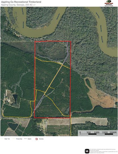 233 Acres of Recreational Land for Sale in Surrency, Georgia