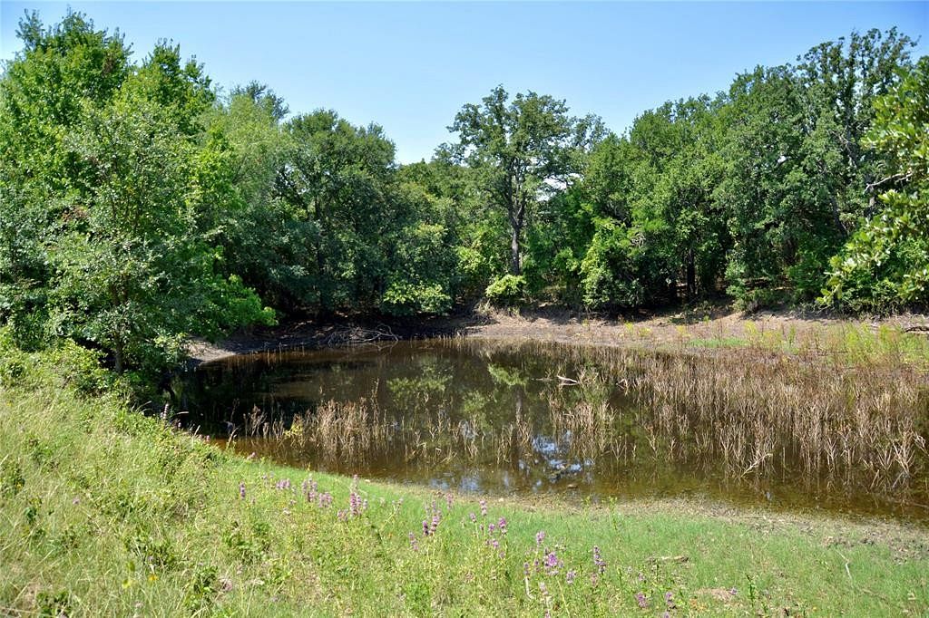51 Acres of Recreational Land for Sale in Mullin, Texas