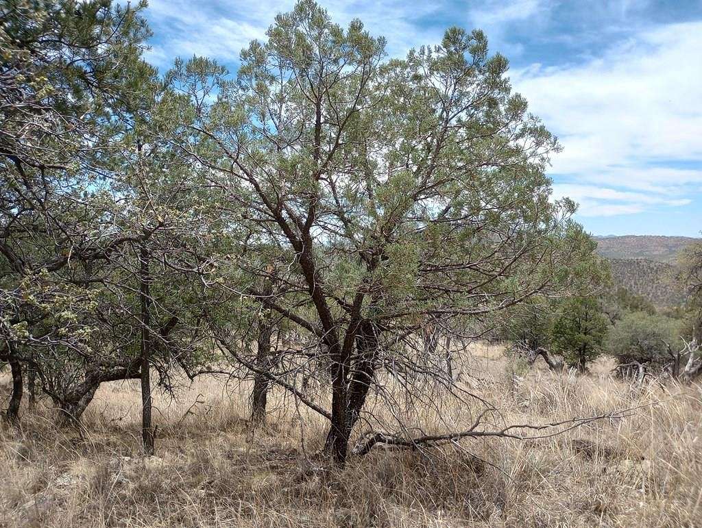 17 Acres of Land for Sale in Fort Davis, Texas