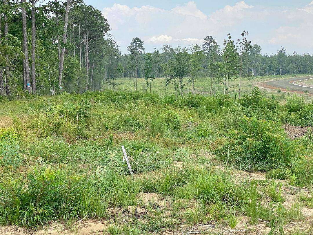 0.6 Acres of Residential Land for Sale in Florien, Louisiana