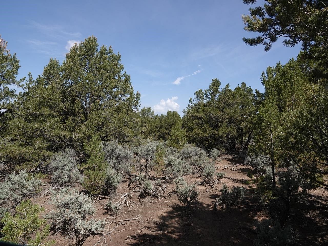 5.4 Acres of Agricultural Land for Sale in Questa, New Mexico
