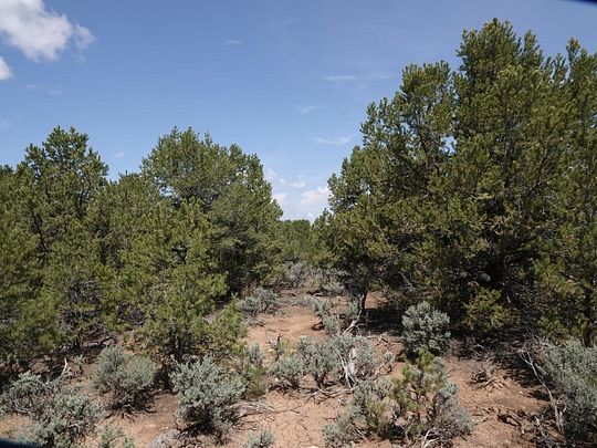 3.5 Acres of Land for Sale in Questa, New Mexico